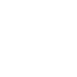 Anders Link